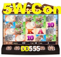DD555